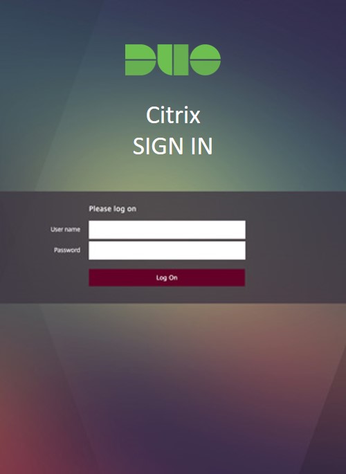 Citrix Sign In Preview